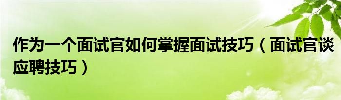 作为一个面试官如何掌握面试技巧(面试官谈应聘技巧)