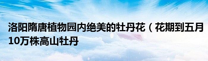 洛阳隋唐植物园内绝美的牡丹花(花期到五月10万株高山牡丹
