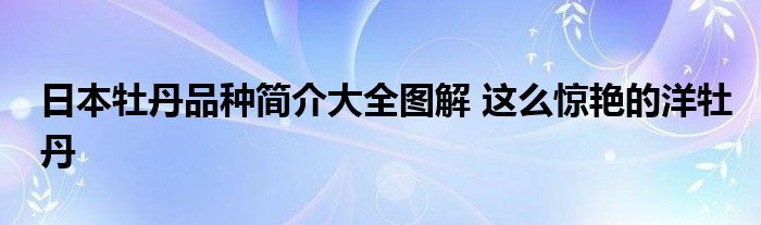 日本牡丹品种简介大全图解 这么惊艳的洋牡丹