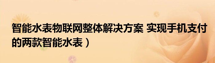 智能水表物联网整体解决方案 实现手机支付的两款智能水表)
