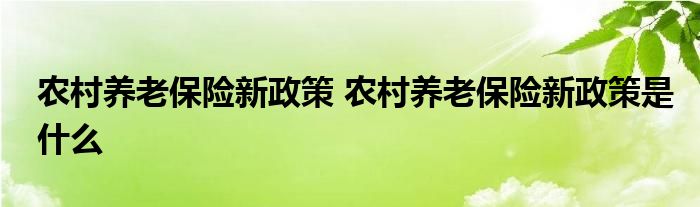 农村养老保险新政策 农村养老保险新政策是什么