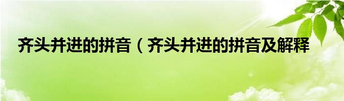 齐头并进的拼音(齐头并进的拼音及解释