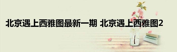 北京遇上西雅图最新一期 北京遇上西雅图2