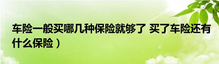 车险一般买哪几种保险就够了 买了车险还有什么保险)