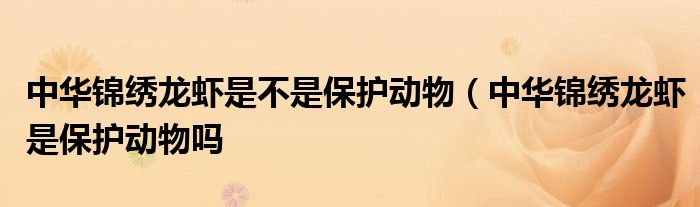 中华锦绣龙虾是不是保护动物(中华锦绣龙虾是保护动物吗
