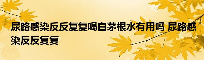 尿路感染反反复复喝白茅根水有用吗 尿路感染反反复复