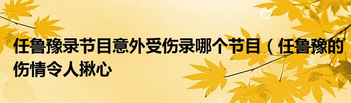 任鲁豫录节目意外受伤录哪个节目(任鲁豫的伤情令人揪心