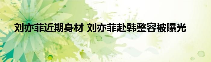 刘亦菲近期身材 刘亦菲赴韩整容被曝光