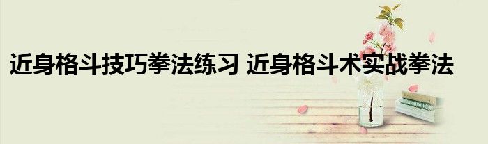 近身格斗技巧拳法练习 近身格斗术实战拳法
