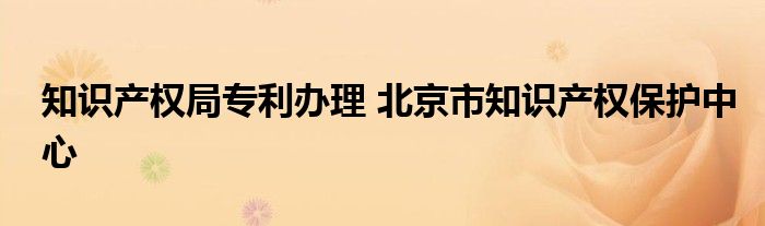 知识产权局专利办理 北京市知识产权保护中心