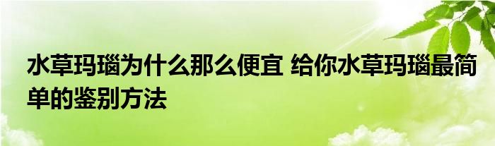 水草玛瑙为什么那么便宜 给你水草玛瑙最简单的鉴别方法