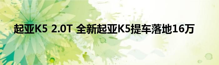 起亚K5 2.0T 全新起亚K5提车落地16万