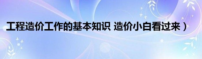 工程造价工作的基本知识 造价小白看过来)