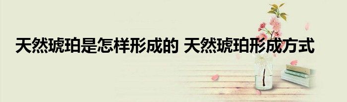 天然琥珀是怎样形成的 天然琥珀形成方式