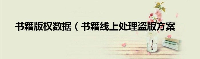 书籍版权数据(书籍线上处理盗版方案