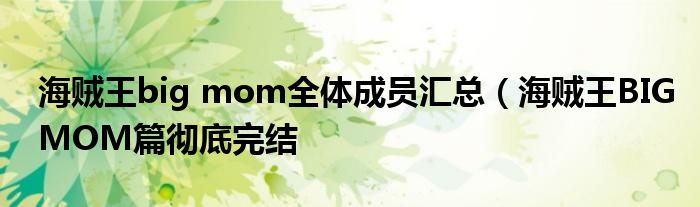 海贼王big mom全体成员汇总(海贼王BIGMOM篇彻底完结