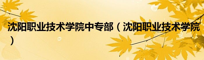 沈阳职业技术学院中专部(沈阳职业技术学院)