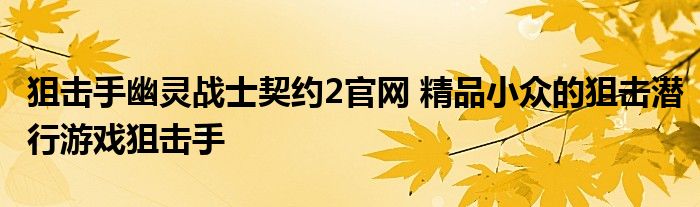 狙击手幽灵战士契约2官网 精品小众的狙击潜行游戏狙击手