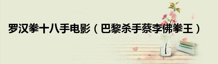 罗汉拳十八手电影(巴黎杀手蔡李佛拳王)