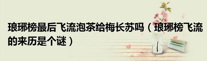 琅琊榜最后飞流泡茶给梅长苏吗(琅琊榜飞流的来历是个谜)