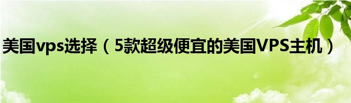 美国vps选择(5款超级便宜的美国VPS主机)