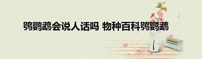 鸮鹦鹉会说人话吗 物种百科鸮鹦鹉