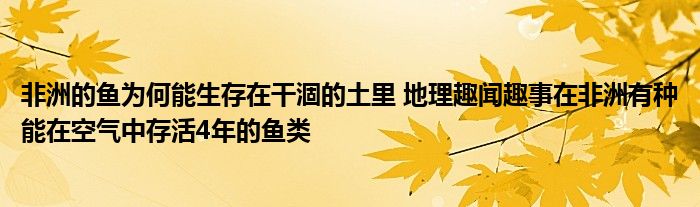 非洲的鱼为何能生存在干涸的土里 地理趣闻趣事在非洲有种能在空气中存活4年的鱼类