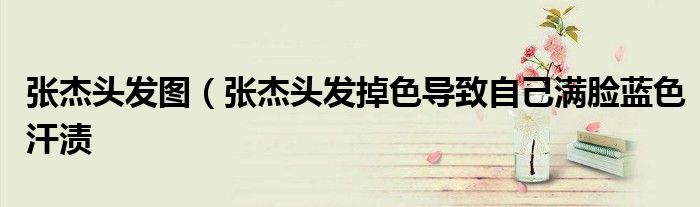 张杰头发图(张杰头发掉色导致自己满脸蓝色汗渍