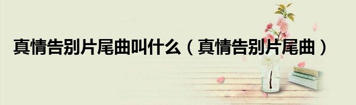 真情告别片尾曲叫什么(真情告别片尾曲)