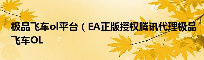 极品飞车ol平台(EA正版授权腾讯代理极品飞车OL
