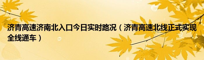 济青高速济南北入口今日实时路况(济青高速北线正式实现全线通车)