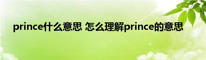 prince什么意思 怎么理解prince的意思