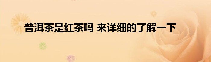 普洱茶是红茶吗 来详细的了解一下