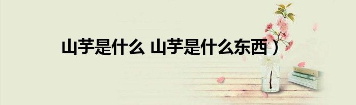 山芋是什么 山芋是什么东西)