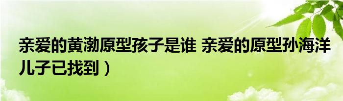 亲爱的黄渤原型孩子是谁 亲爱的原型孙海洋儿子已找到)