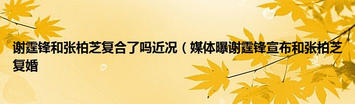 谢霆锋和张柏芝复合了吗近况(媒体曝谢霆锋宣布和张柏芝复婚