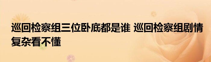 巡回检察组三位卧底都是谁 巡回检察组剧情复杂看不懂