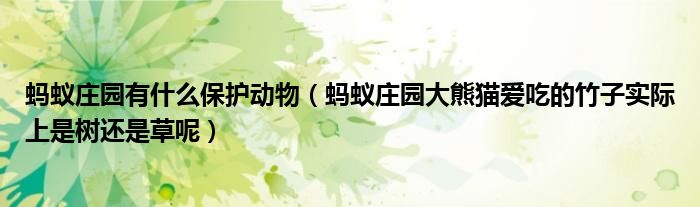蚂蚁庄园有什么保护动物(蚂蚁庄园大熊猫爱吃的竹子实际上是树还是草呢)