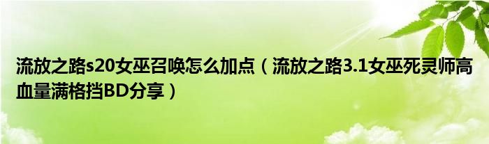 流放之路s20女巫召唤怎么加点(流放之路3.1女巫死灵师高血量满格挡BD分享)