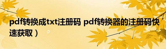 pdf转换成txt注册码 pdf转换器的注册码快速获取)