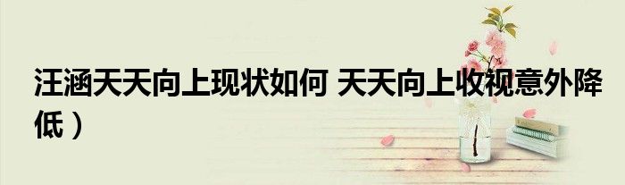 汪涵天天向上现状如何 天天向上收视意外降低)
