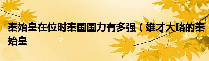 秦始皇在位时秦国国力有多强(雄才大略的秦始皇