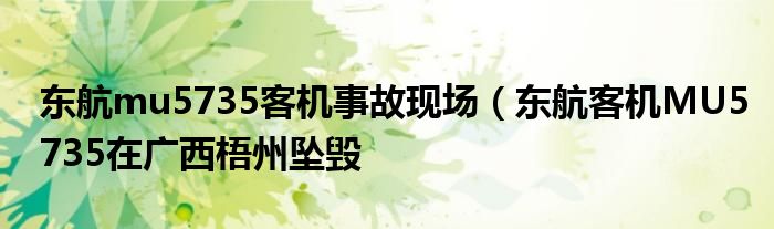 东航mu5735客机事故现场(东航客机MU5735在广西梧州坠毁