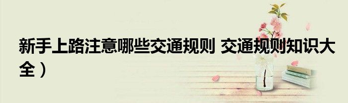 新手上路注意哪些交通规则 交通规则知识大全)