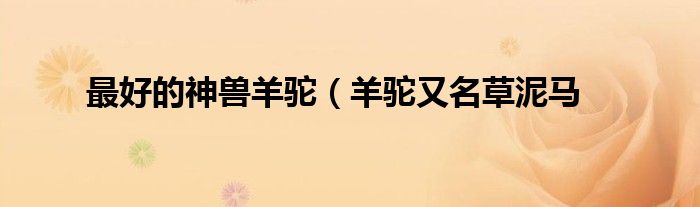 最好的神兽羊驼(羊驼又名草泥马