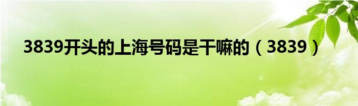 3839开头的上海号码是干嘛的(3839)