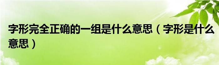 字形完全正确的一组是什么意思(字形是什么意思)
