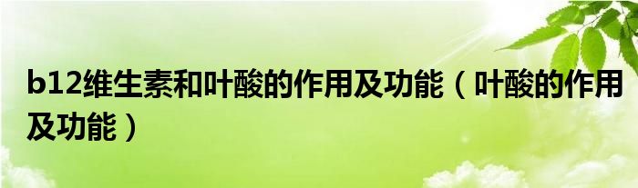 b12维生素和叶酸的作用及功能(叶酸的作用及功能)