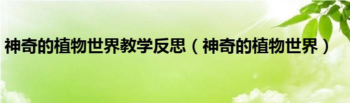 神奇的植物世界教学反思(神奇的植物世界)