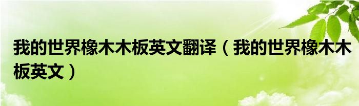 我的世界橡木木板英文翻译(我的世界橡木木板英文)